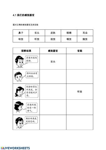 我们的感觉器官