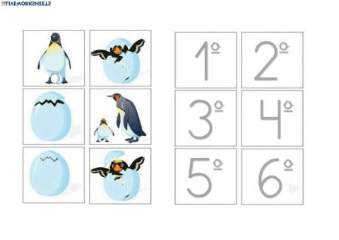 Secuencia temporal 6 elementos