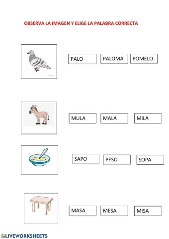 Lectura imagen-palabra