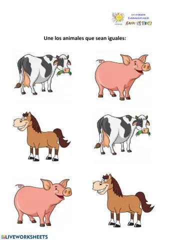 Buscar iguales animales