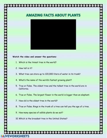 Amazing Facts about Plants