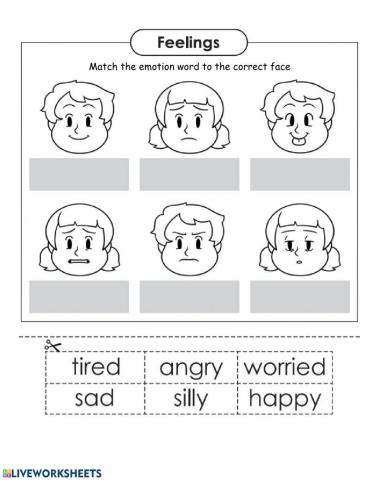 Emotions