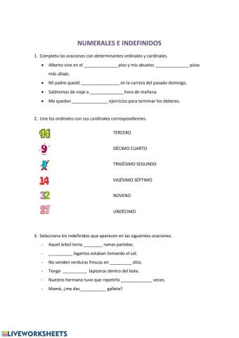 NUMERALES E INDEFINIDOS