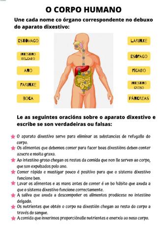 O corpo humano