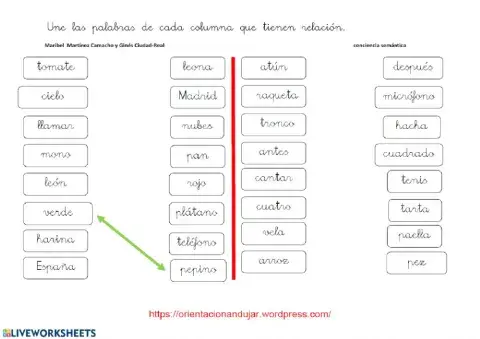 Agrupación por semejanzas 51 verde