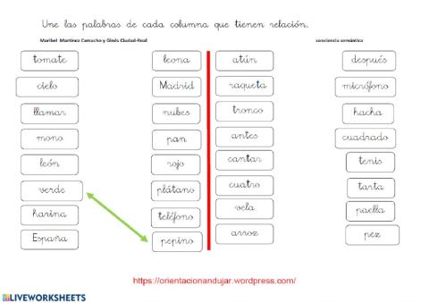 Agrupación por semejanzas 51 verde