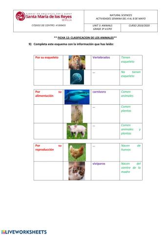 Clasificacion de los animales