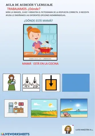 Comprensión partícula interrogativa ¿Dónde?