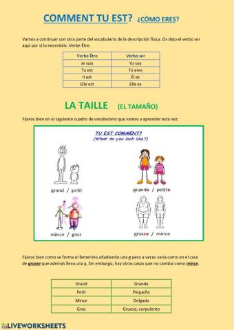 Description physique