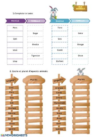 2 activitat: mascles i femelles --- Singular i plural