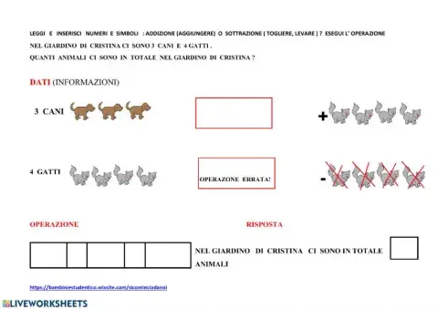 Problema : addizione o sottrazione?