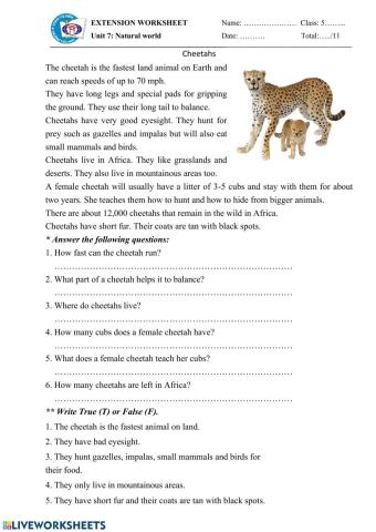 U7-NC4-Reading-Cheetah.