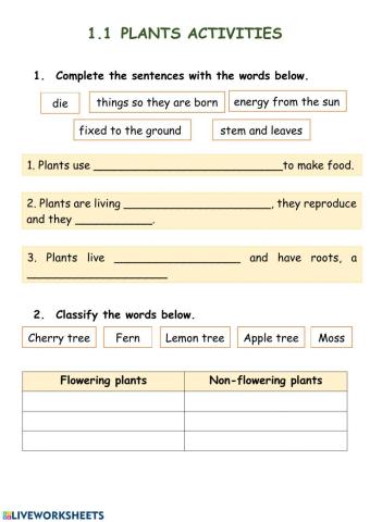 Plants characteristics