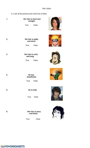 Hairstyles description