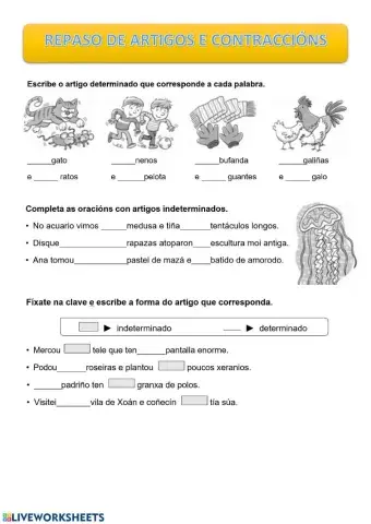 Repaso artigos e contraccións