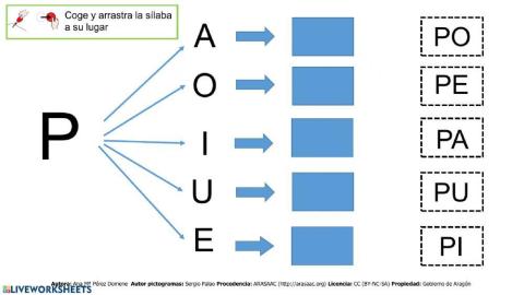 Lectura-Global-P1