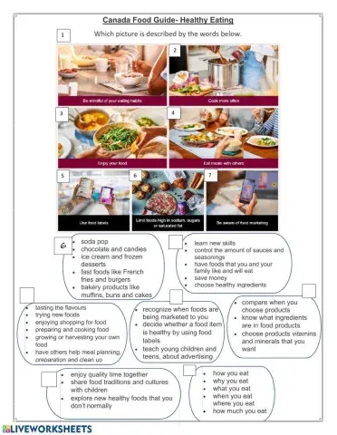 Canada Food Guide