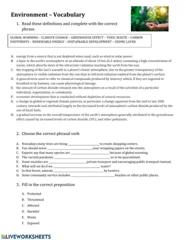 Environment Vocabulary