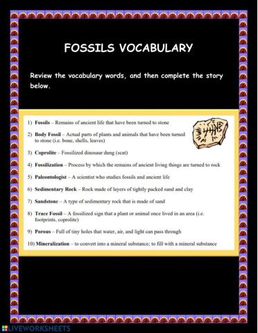 Fossils Vocabulary