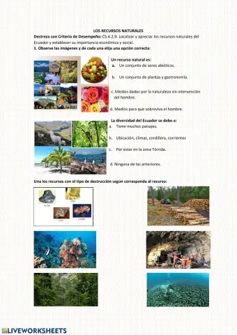 Los recursos naturales y economicos