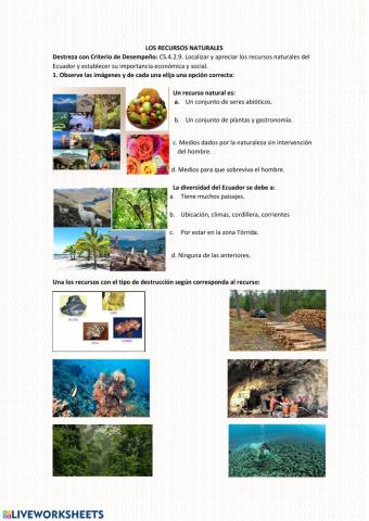 Los recursos naturales y economicos