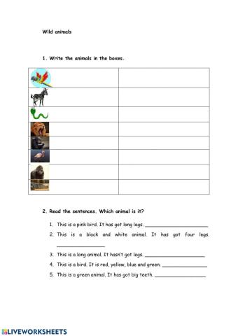 Wild animals