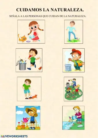 Cuidamos la Creación Infantil