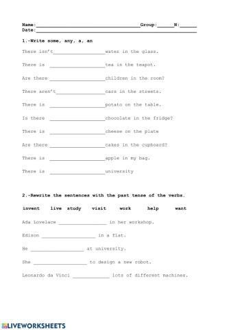 There is -there are past simple