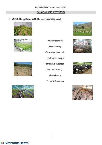 Farming and livestock