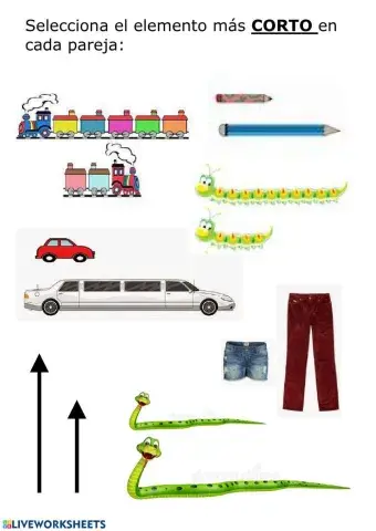 Ficha concepto medida CORTO