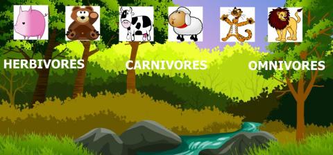 Carnivores, Herbivores, Omnivores