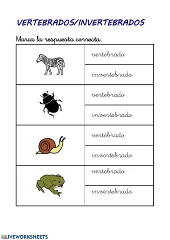 Vertebrados.invertebrados Jarama