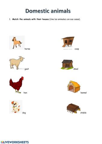 Domestic animals