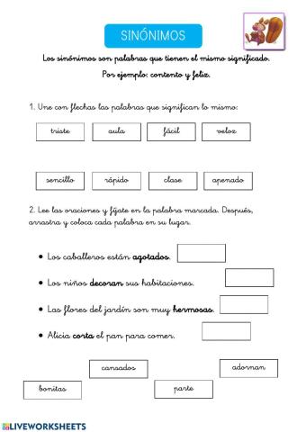 Sinónimos 1º Primaria