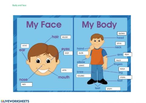 body and face