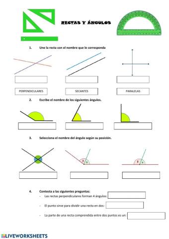 Rectas y ángulos