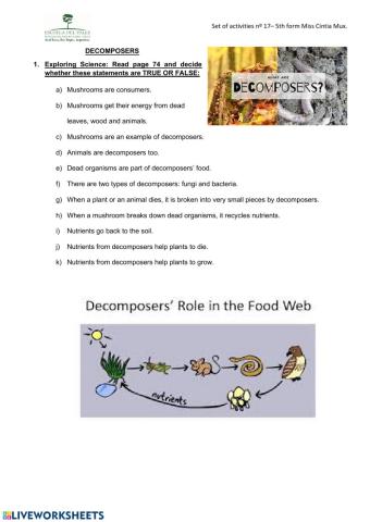 Decomposers