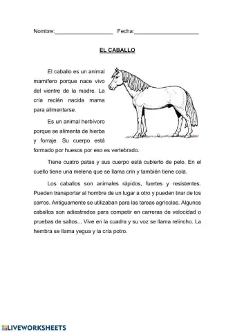 El caballo