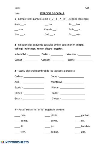 Ortografia R