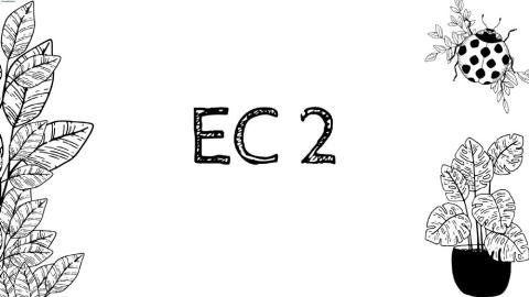 Ec 2