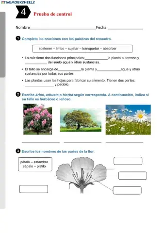 Examen unidad 4 - NATURALES