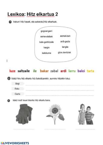 Hitz elkartuak 2