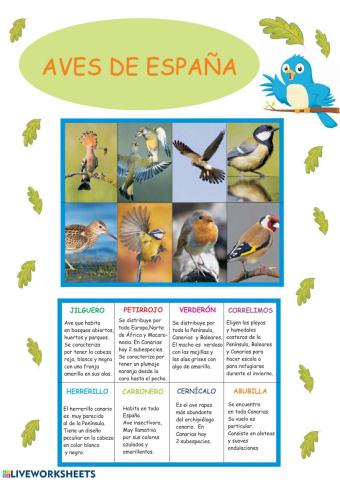 Aves de España