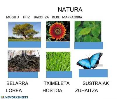 Naturako  hiztegia