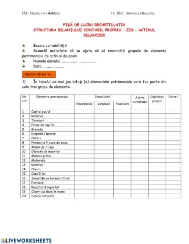 FL-1-Rec-StructuraBilanțului-IXE