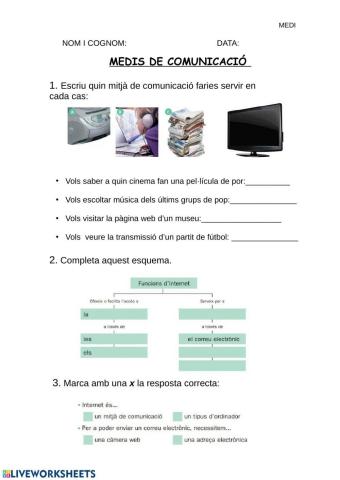 Mitjans de comunicació: internet