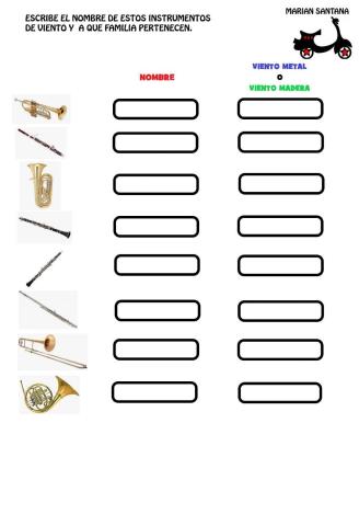 Instrumentos Viento