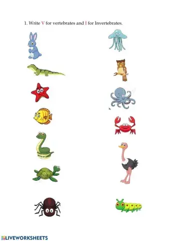 Vertebrate and invertebrate animals