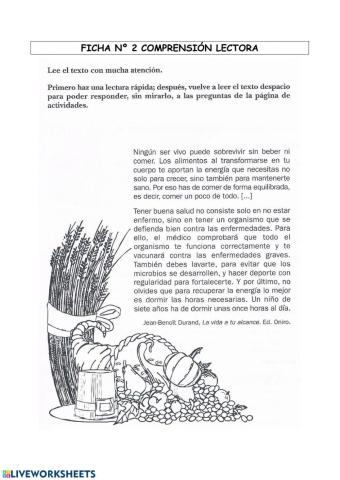 Comprensión lectora nº 2