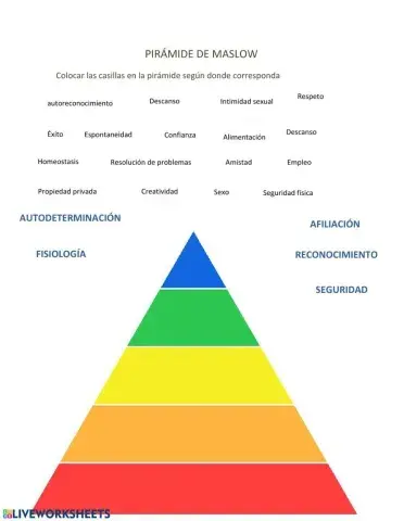 PIRÁMIDE DE MASLOW 